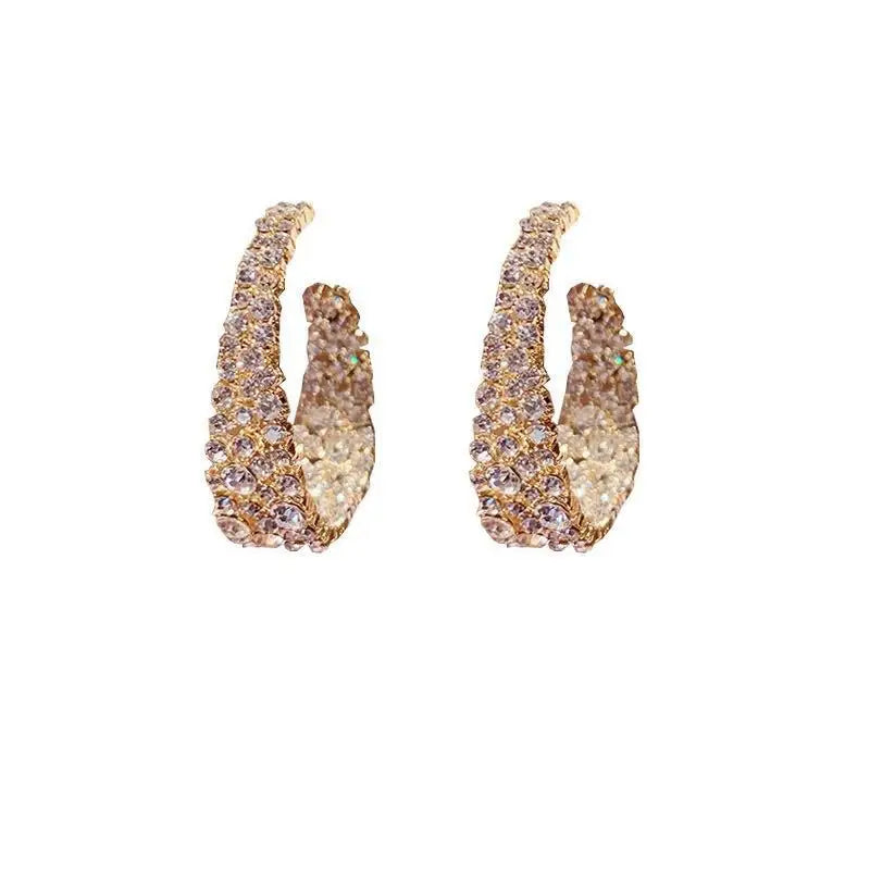 Earrings (All Different Styles)