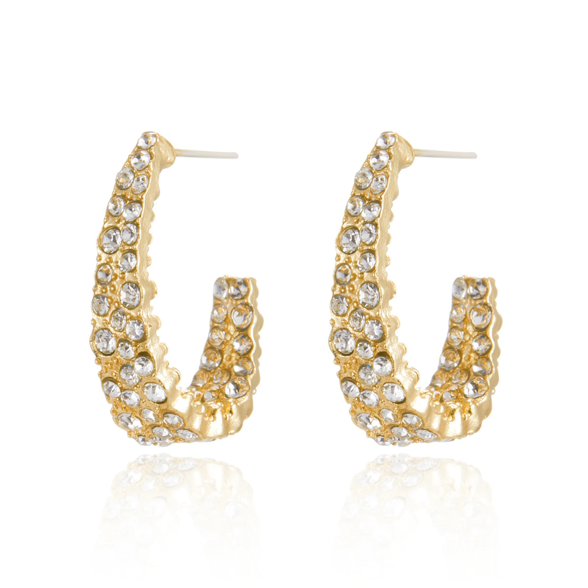 Earrings (All Different Styles)