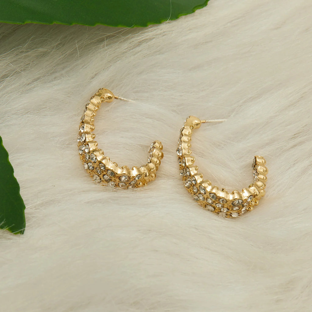 Earrings (All Different Styles)