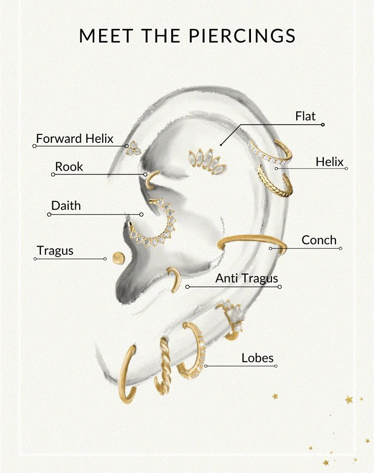 Butterfly Hoop Earrings Set